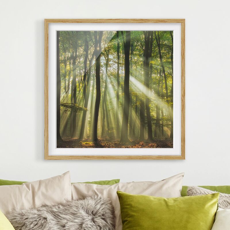 

Póster enmarcado - Sunny Day In The Forest Dimensión LxA: 20cm x 20cm, Marco: Roble