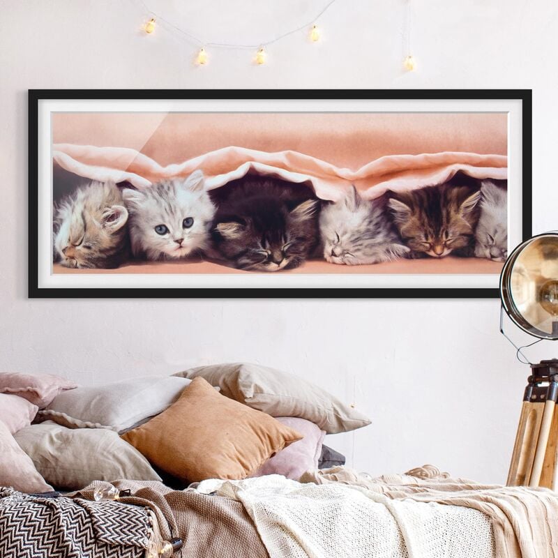 

Póster enmarcado - Sweet Like Zucchero Dimensión LxA: 50cm x 130cm, Marco: Negro