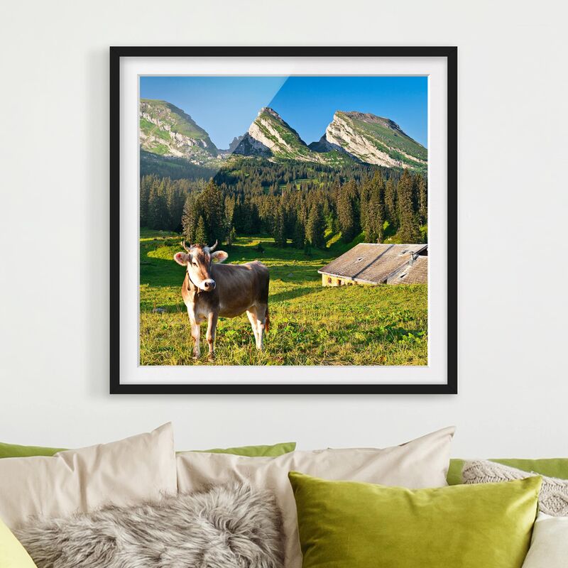 

Póster enmarcado - Swiss Alpine Meadow With Cow Dimensión LxA: 70cm x 70cm, Marco: Negro