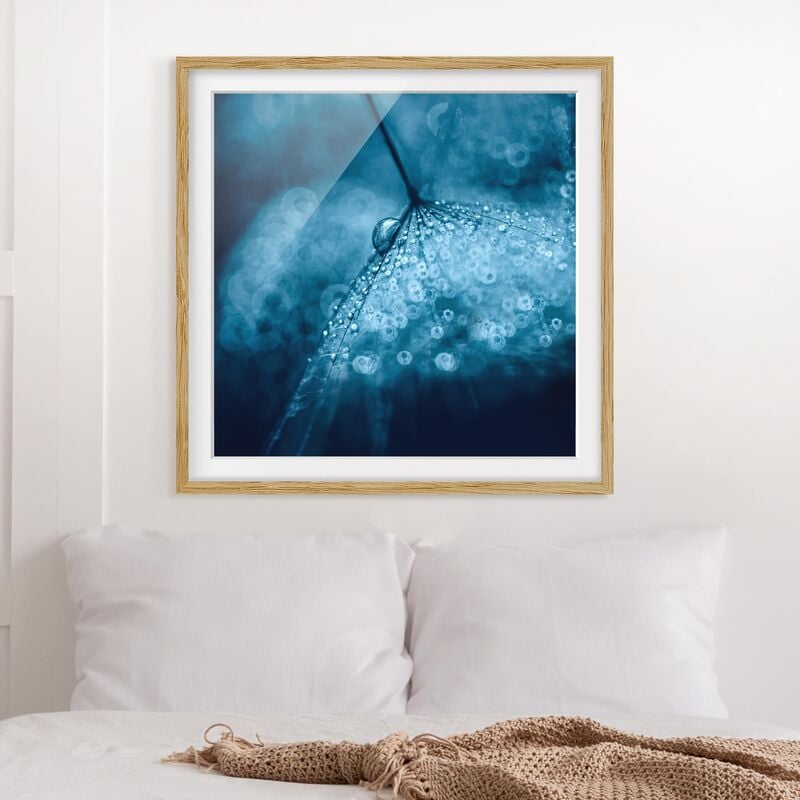 

Póster enmarcado - Tarassaco Blu In The Rain Dimensión LxA: 20cm x 20cm, Marco: Roble