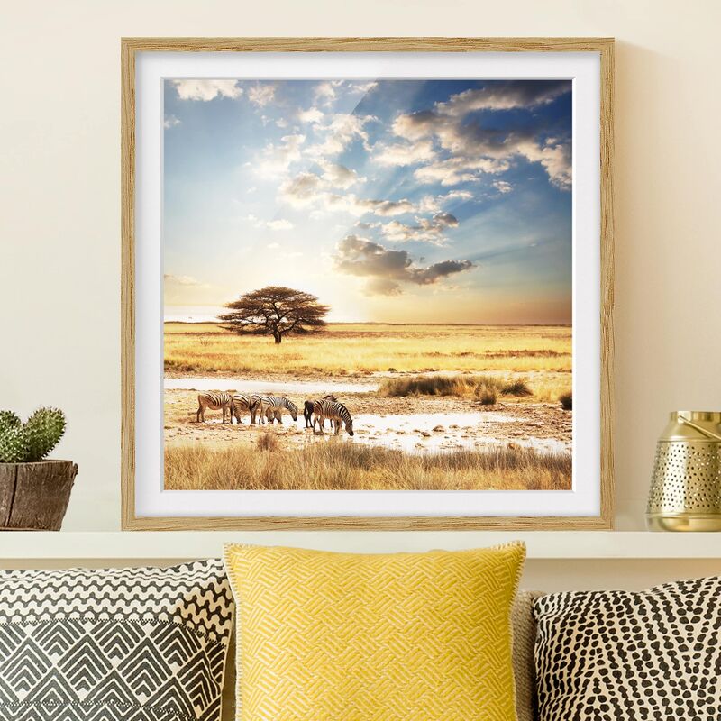 

Póster enmarcado - The Lives Of Zebras Dimensión LxA: 70cm x 70cm, Marco: Roble