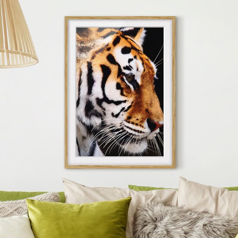 

Póster enmarcado - Tiger Beauty Dimensión LxA: 40cm x 30cm, Marco: Roble