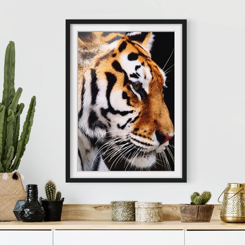 

Póster enmarcado - Tiger Beauty Dimensión LxA: 24cm x 18cm, Marco: Negro