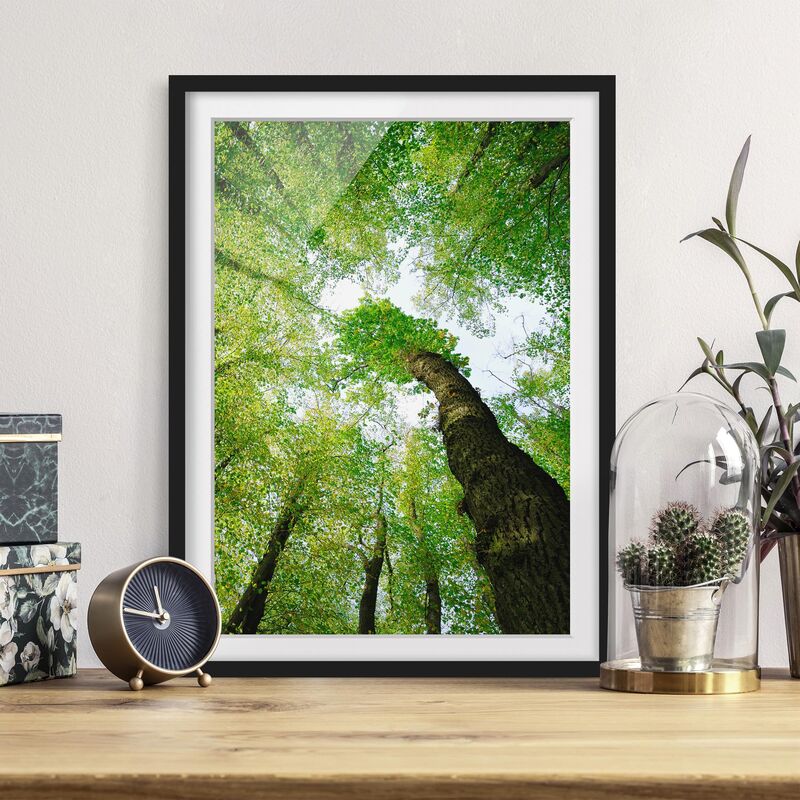 

Póster enmarcado - Trees Of Life Dimensión LxA: 70cm x 50cm, Marco: Negro