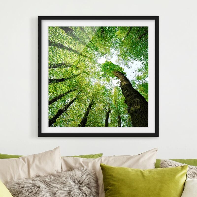 

Póster enmarcado - Trees Of Life Dimensión LxA: 50cm x 50cm, Marco: Negro