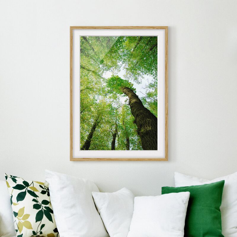 

Póster enmarcado - Trees Of Life Dimensión LxA: 55cm x 40cm, Marco: Roble