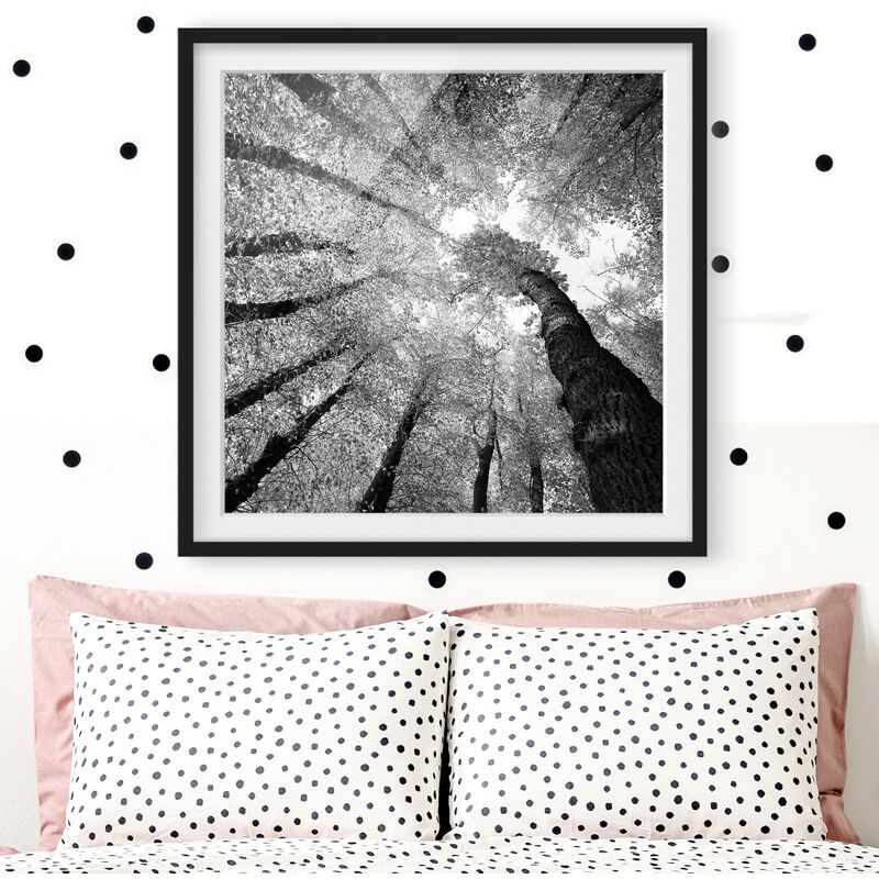 

Póster enmarcado - Trees Of Life II Dimensión LxA: 50cm x 50cm, Marco: Negro