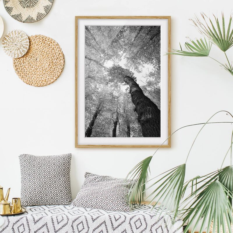 

Póster enmarcado - Trees Of Life Ii Dimensión LxA: 70cm x 50cm, Marco: Roble