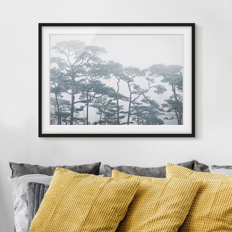

Póster enmarcado - Treetops In Fog Dimensión LxA: 50cm x 70cm, Marco: Negro