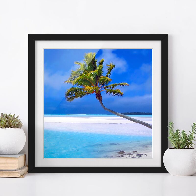 

Póster enmarcado - Tropical Dream Dimensión LxA: 70cm x 70cm, Marco: Negro