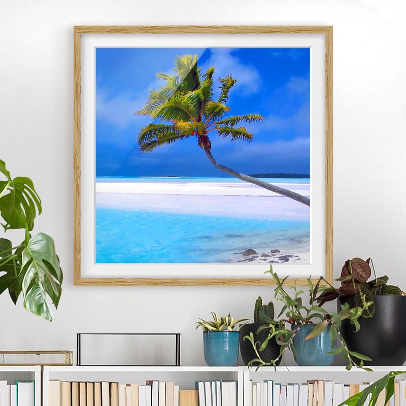 

Póster enmarcado - Tropical Dream Dimensión LxA: 50cm x 50cm, Marco: Roble