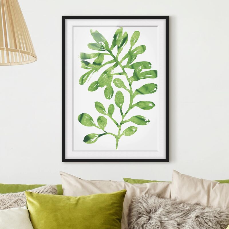 

Póster enmarcado - Tropical Leaves Ii Acquerello Dimensión LxA: 24cm x 18cm, Marco: Negro