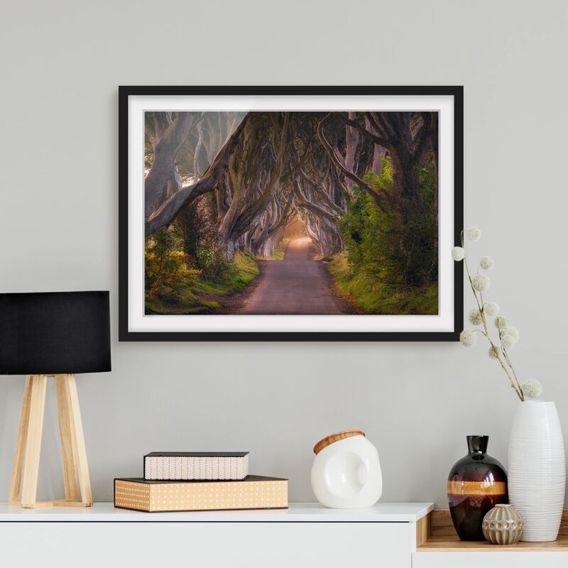 

Póster enmarcado - Tunnel From Trees Dimensión LxA: 40cm x 55cm, Marco: Negro