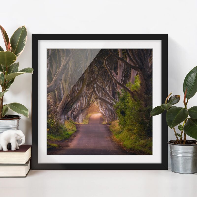 

Póster enmarcado - Tunnel From Trees Dimensión LxA: 30cm x 30cm, Marco: Negro