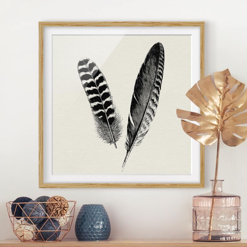 

Póster enmarcado - Two Feathers - Drawing Dimensión LxA: 30cm x 30cm, Marco: Roble