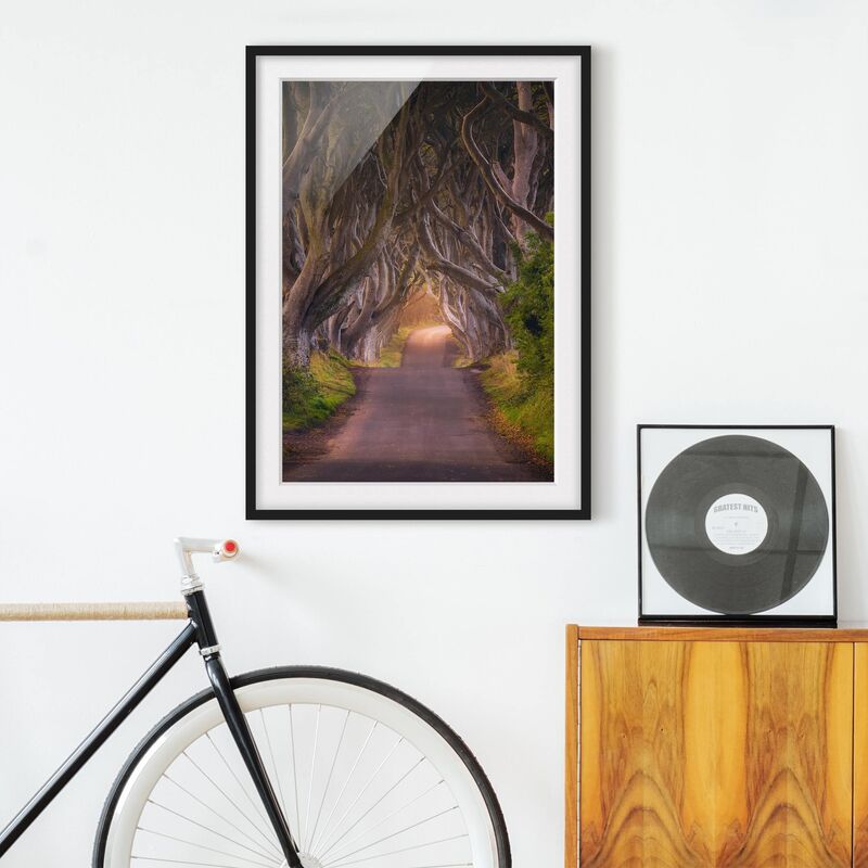 

Póster enmarcado - Tunnel From Trees Dimensión LxA: 100cm x 70cm, Marco: Negro