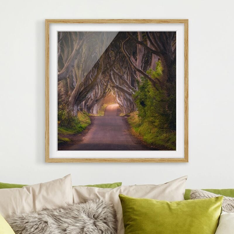 

Póster enmarcado - Tunnel From Trees Dimensión LxA: 30cm x 30cm, Marco: Roble