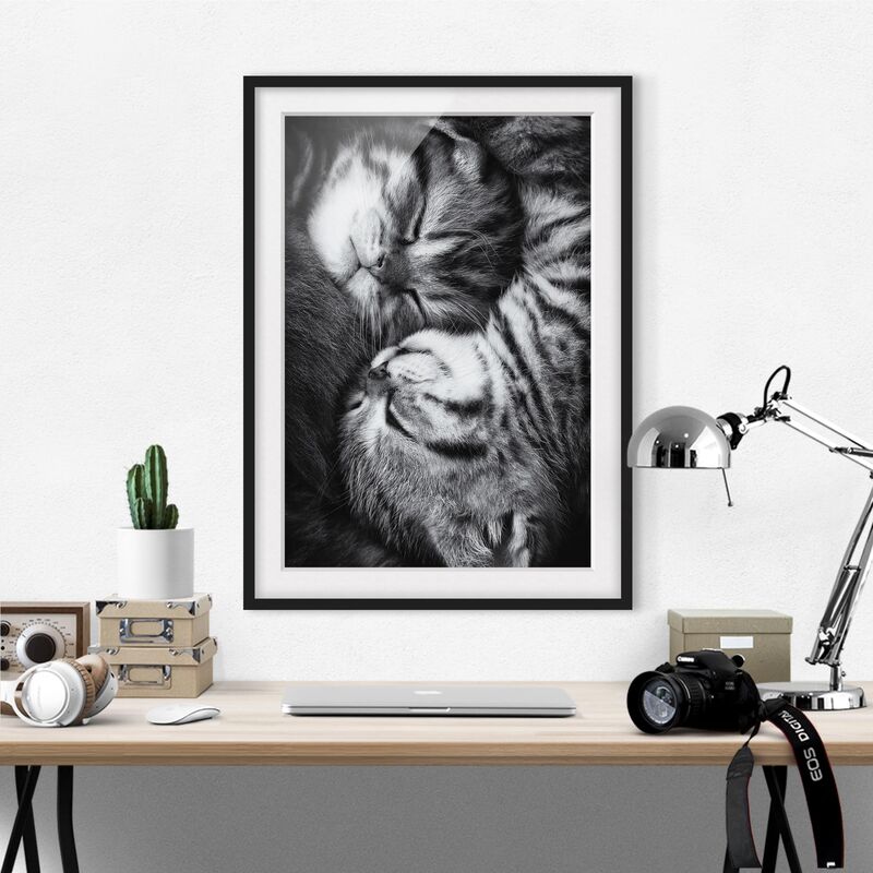 

Póster enmarcado - Two Kittens Dimensión LxA: 100cm x 70cm, Marco: Negro