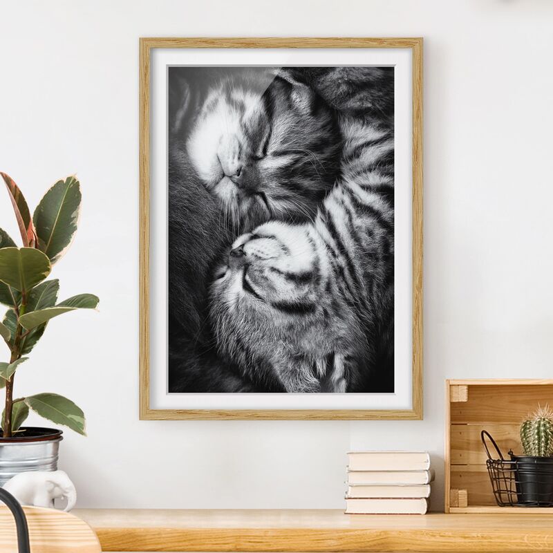 

Póster enmarcado - Two Kittens Dimensión LxA: 40cm x 30cm, Marco: Roble