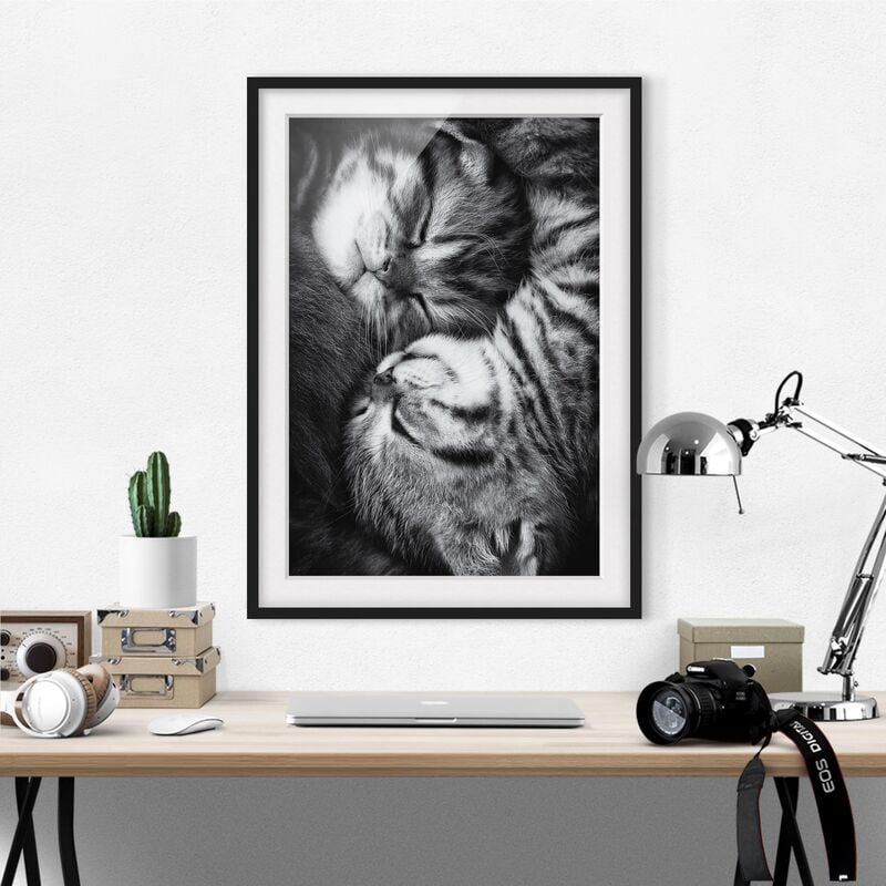 

Póster enmarcado - Two Kittens Dimensión LxA: 40cm x 30cm, Marco: Negro