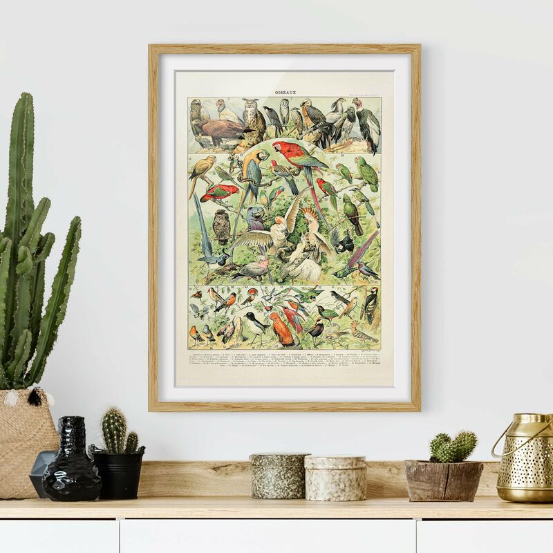 

Póster enmarcado - Uccelli da tavolo Vintage Dimensión LxA: 70cm x 50cm, Marco: Roble