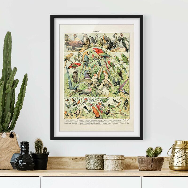 

Póster enmarcado - Uccelli da tavolo Vintage Dimensión LxA: 55cm x 40cm, Marco: Negro