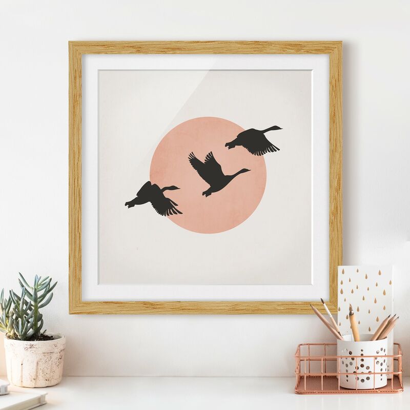 

Póster enmarcado - Uccelli davanti al sole rosa III Dimensión LxA: 30cm x 30cm, Marco: Roble