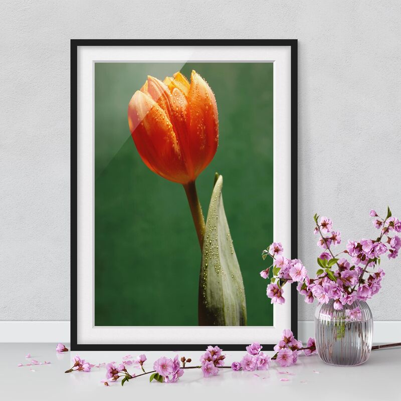 

Póster enmarcado - Ultimate Tulip Dimensión LxA: 100cm x 70cm, Marco: Negro