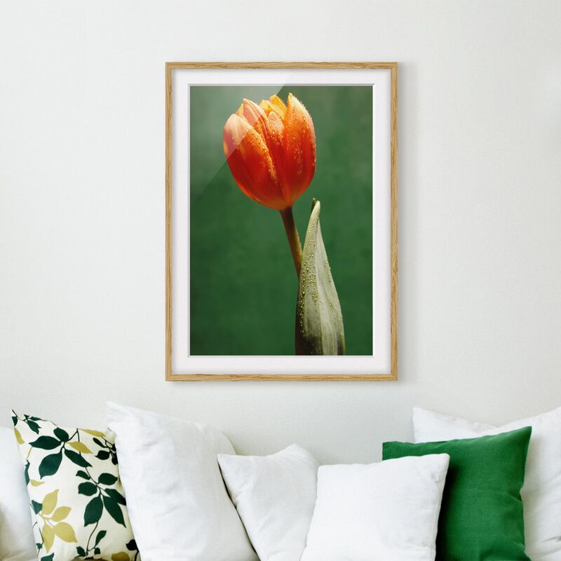 

Póster enmarcado - Ultimate Tulip Dimensión LxA: 100cm x 70cm, Marco: Roble