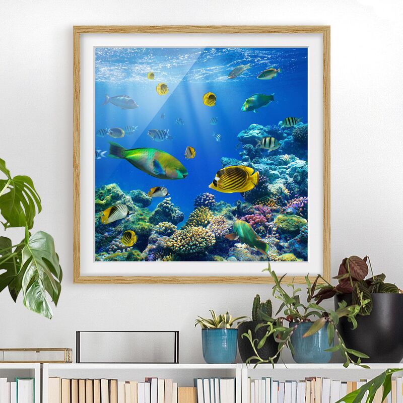 

Póster enmarcado - Underwater Lights Dimensión LxA: 70cm x 70cm, Marco: Roble