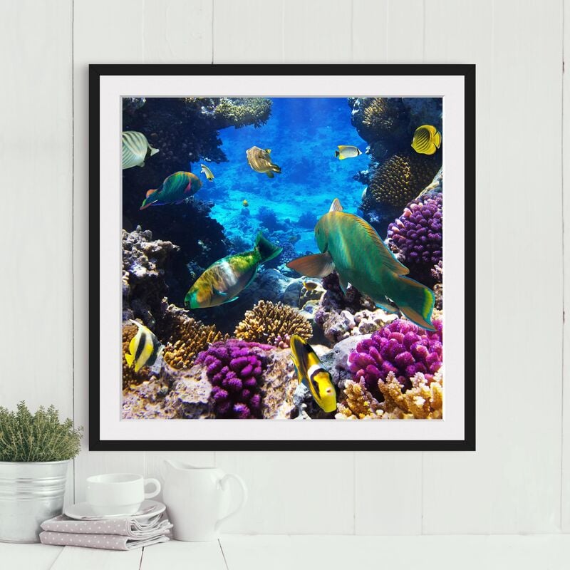 

Póster enmarcado - Underwater Dreams Dimensión LxA: 50cm x 50cm, Marco: Negro