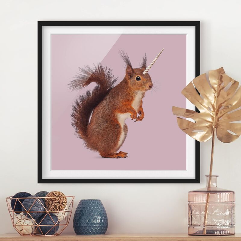 

Póster enmarcado - Unicorn Squirrel Dimensión LxA: 70cm x 70cm, Marco: Negro