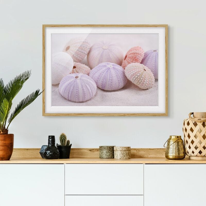

Póster enmarcado - Urchin In Pastel Dimensión LxA: 30cm x 40cm, Marco: Roble
