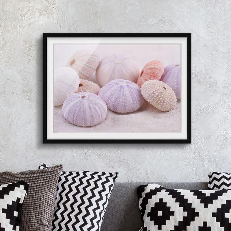 

Póster enmarcado - Urchin In Pastel Dimensión LxA: 40cm x 55cm, Marco: Negro