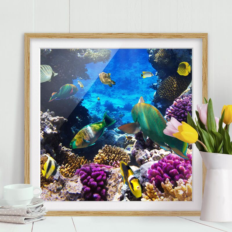 

Póster enmarcado - Underwater Dreams Dimensión LxA: 20cm x 20cm, Marco: Roble