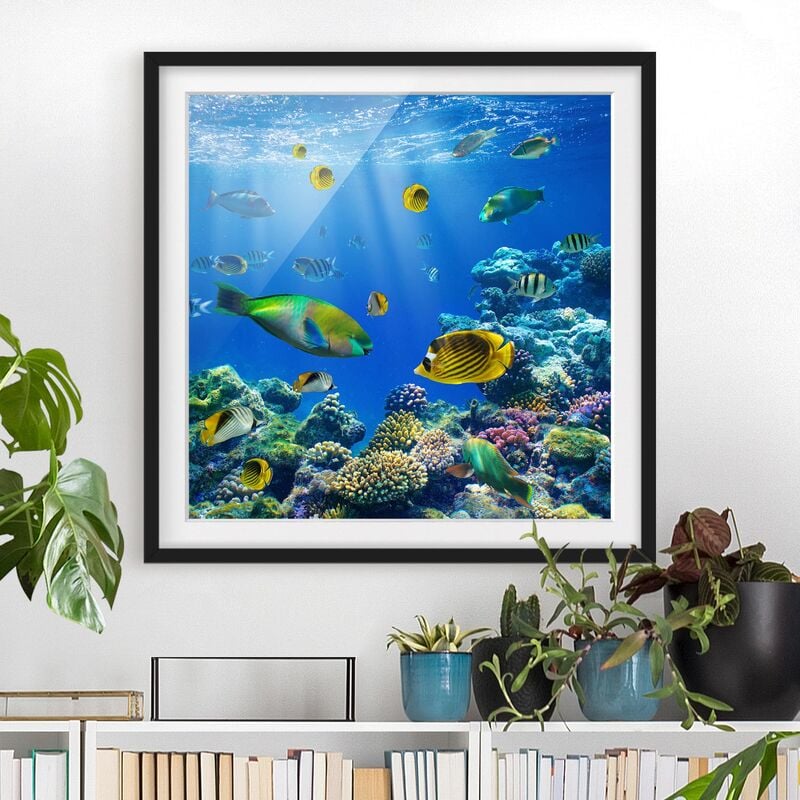 

Póster enmarcado - Underwater Lights Dimensión LxA: 30cm x 30cm, Marco: Negro