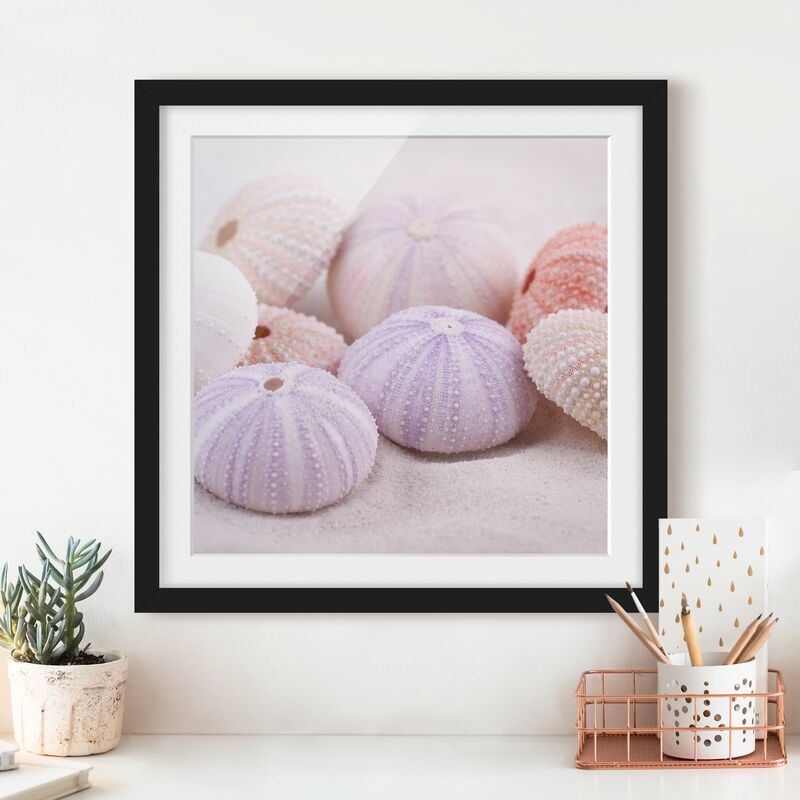 

Póster enmarcado - Urchin In Pastel Dimensión LxA: 50cm x 50cm, Marco: Negro