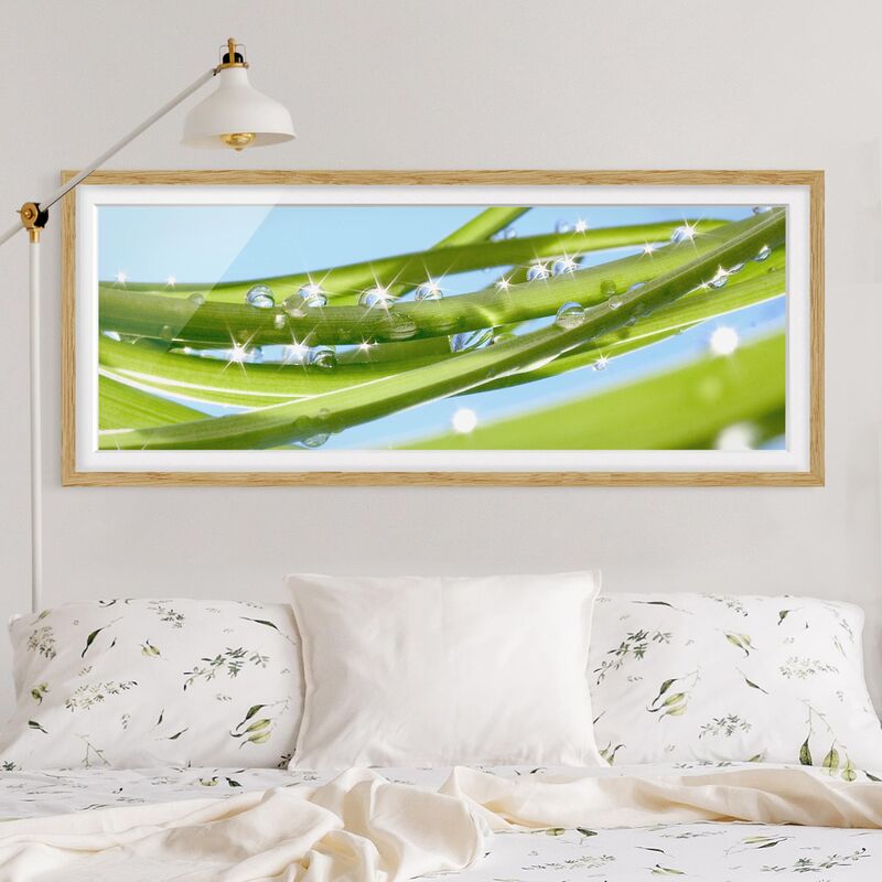 

Póster enmarcado - Verde Fresco Dimensión LxA: 30cm x 75cm, Marco: Roble