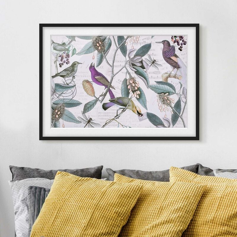 

Póster enmarcado - Vintage Collage - Nostalgic Birds Dimensión LxA: 50cm x 70cm, Marco: Negro