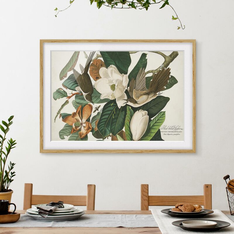 

Póster enmarcado - Vintage Consiglio Cuckoo Dimensión LxA: 50cm x 70cm, Marco: Roble