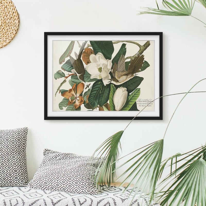 

Póster enmarcado - Vintage Consiglio Cuckoo Dimensión LxA: 70cm x 100cm, Marco: Negro
