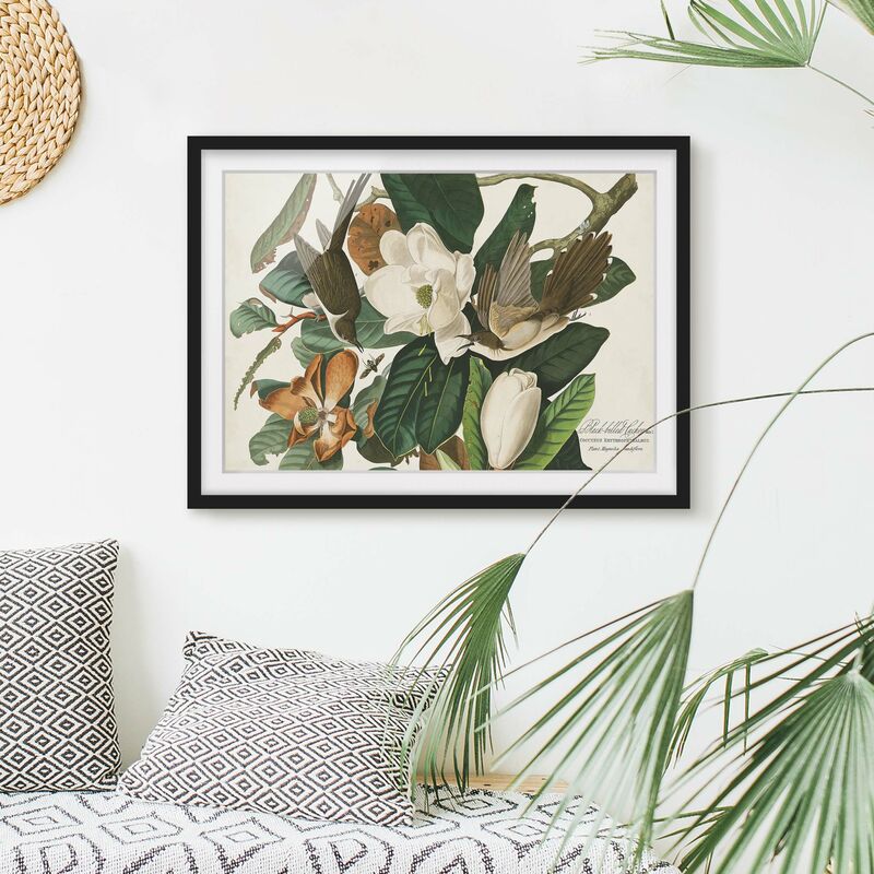 

Póster enmarcado - Vintage Consiglio Cuckoo Dimensión LxA: 30cm x 40cm, Marco: Negro