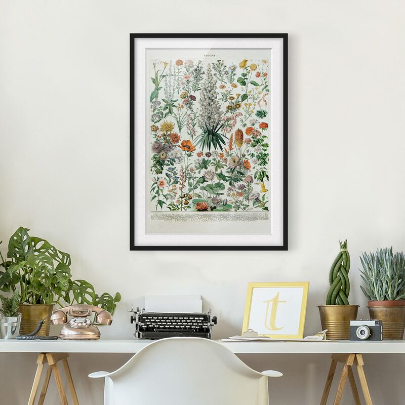

Póster enmarcado - Vintage Consiglio Flowers I Dimensión LxA: 55cm x 40cm, Marco: Negro