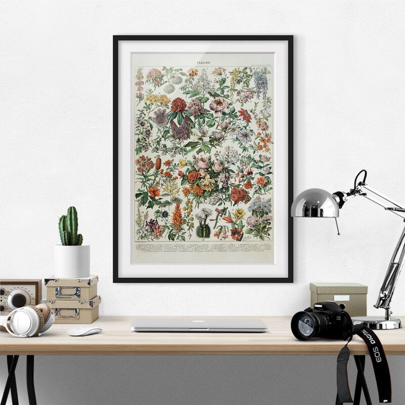 

Póster enmarcado - Vintage Consiglio Flowers II Dimensión LxA: 100cm x 70cm, Marco: Negro