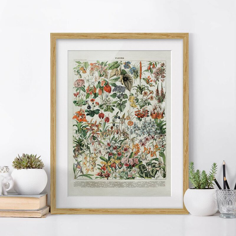 

Póster enmarcado - Vintage Consiglio Flowers III Dimensión LxA: 70cm x 50cm, Marco: Roble