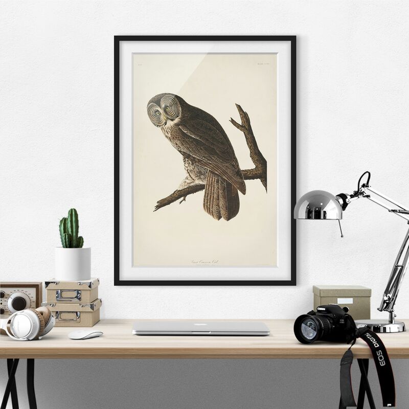 

Póster enmarcado - Vintage Consiglio Grande Gufo Dimensión LxA: 70cm x 50cm, Marco: Negro