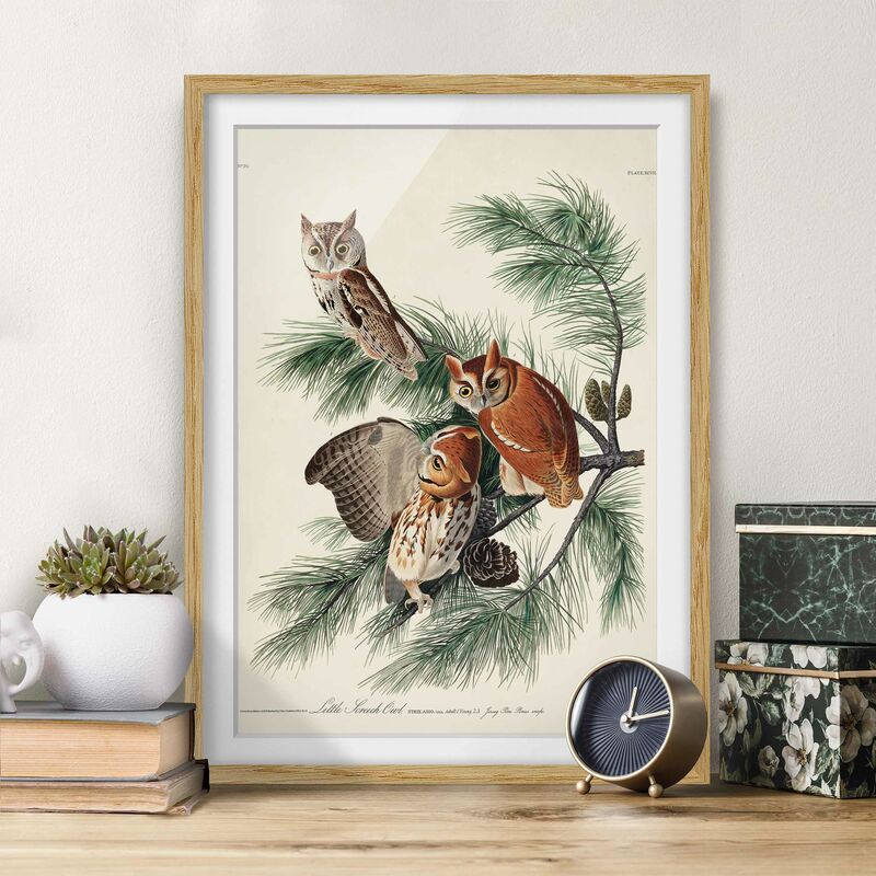 

Póster enmarcado - Vintage Consiglio Kauzchen Dimensión LxA: 100cm x 70cm, Marco: Roble
