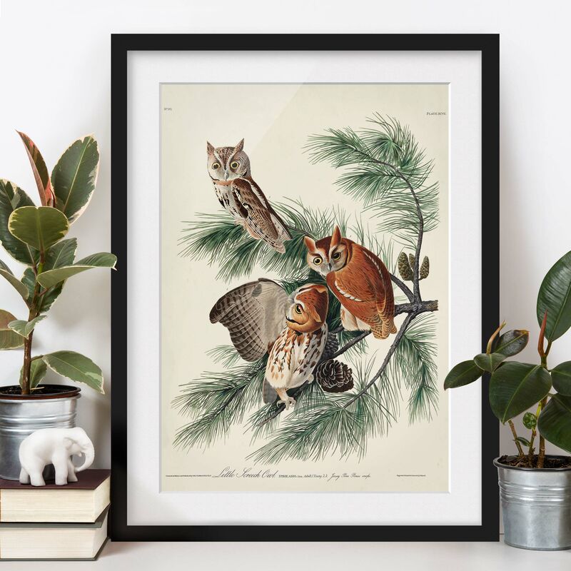 

Póster enmarcado - Vintage Consiglio Kauzchen Dimensión LxA: 40cm x 30cm, Marco: Negro