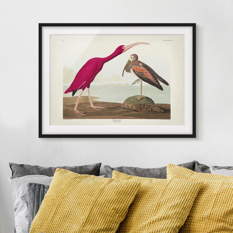

Póster enmarcado - Vintage Consiglio Rosso Ibis Dimensión LxA: 70cm x 100cm, Marco: Negro