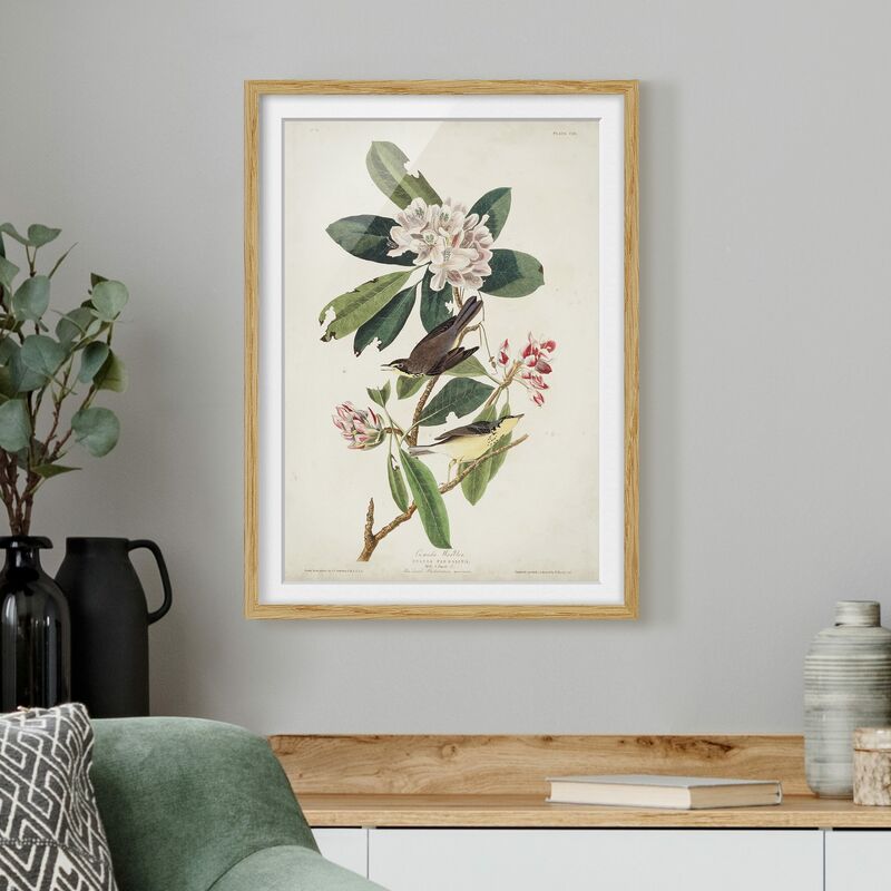 

Póster enmarcado - Vintage Consiglio Warbler Dimensión LxA: 70cm x 50cm, Marco: Roble